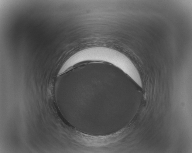 X0000082970035200702152343