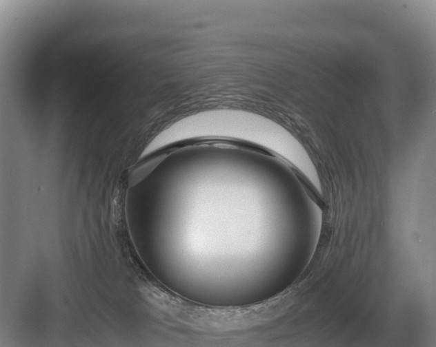 X0000082970037200702152343