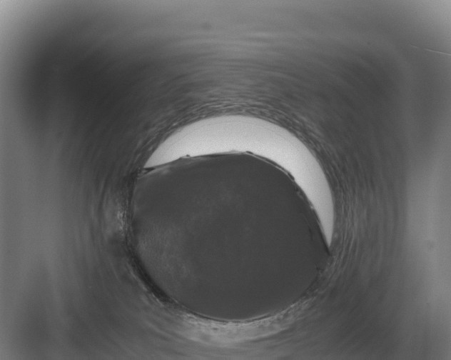 X0000082970039200702152343