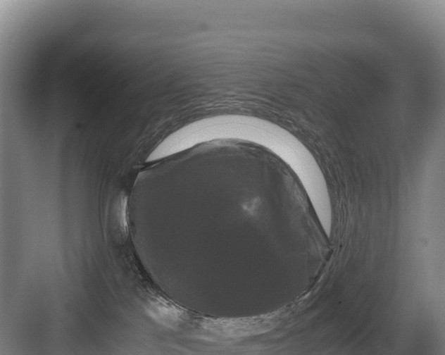 X0000082970041200702152343