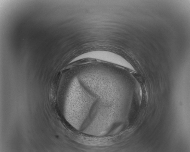 X0000082970044200702152343