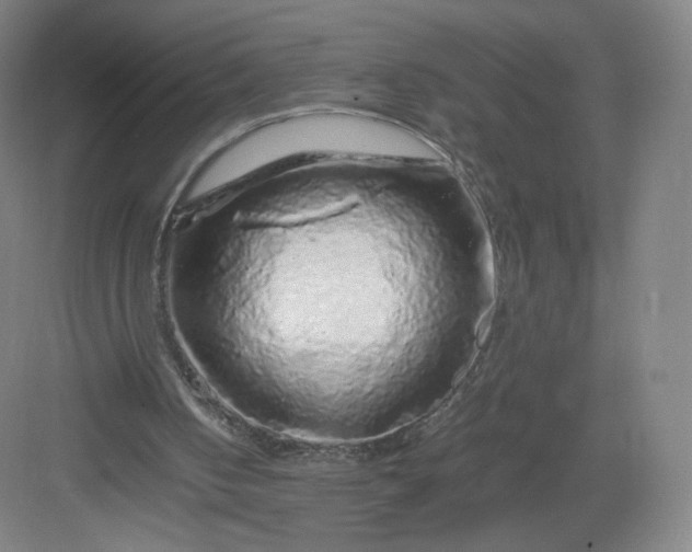 X0000082970050200702152342