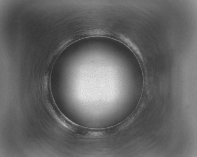 X0000082970057200702152342