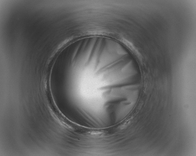 X0000082970060200702152342
