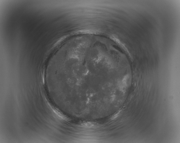 X0000082970062200702152342
