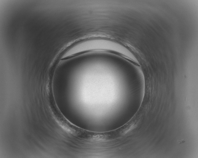X0000082970064200702152342