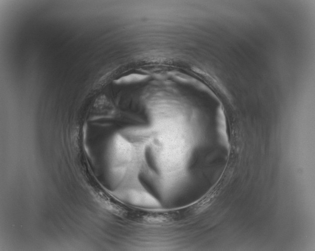 X0000082970066200702152342