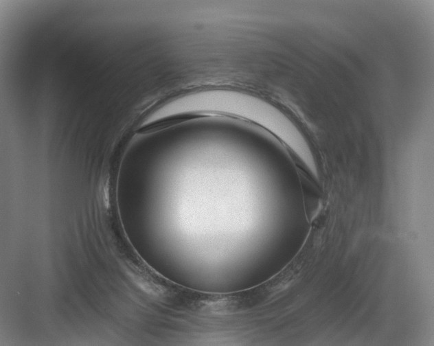 X0000082970068200702152342