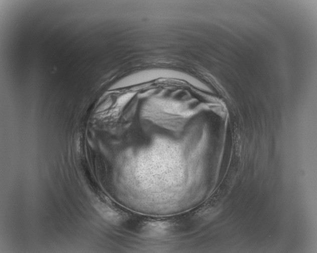 X0000082970071200702152342