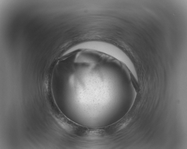 X0000082970072200702152342