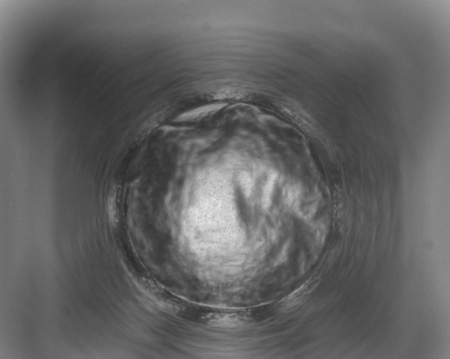 X0000082970074200702152342