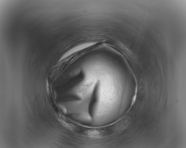 X0000082970075200702152342