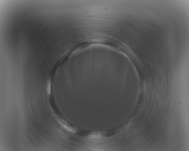 X0000082970076200702152342