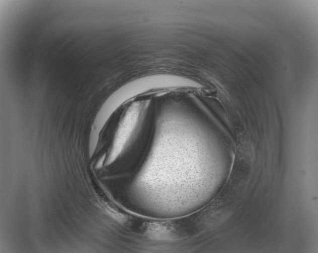 X0000082970077200702152342