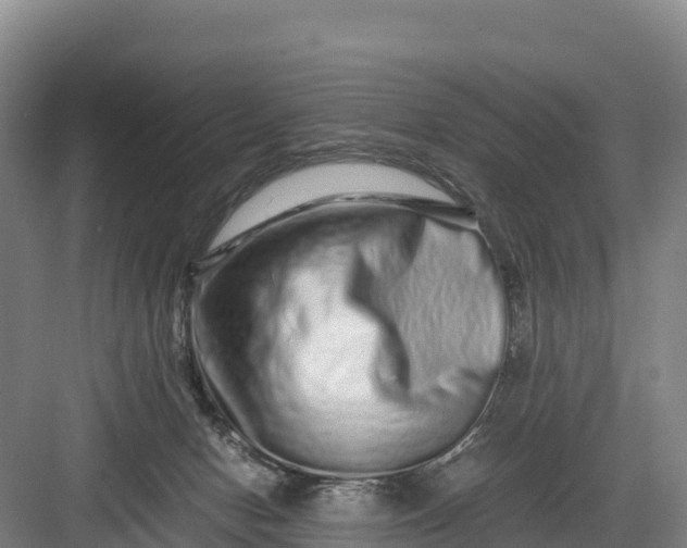 X0000082970078200702152342