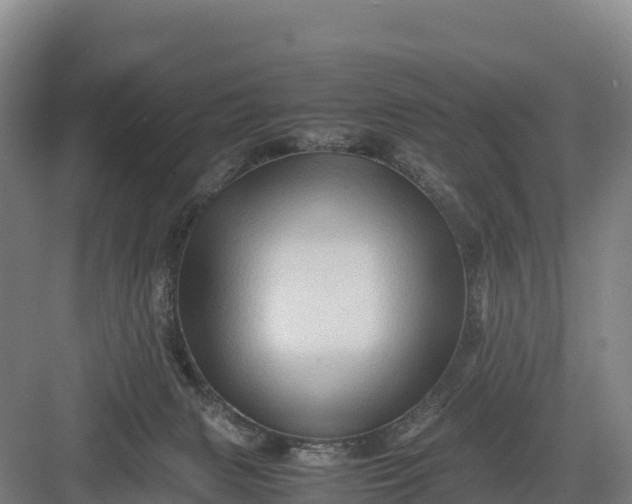 X0000082970079200702152342