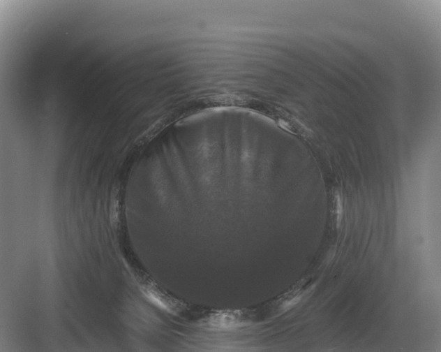 X0000082970080200702152343