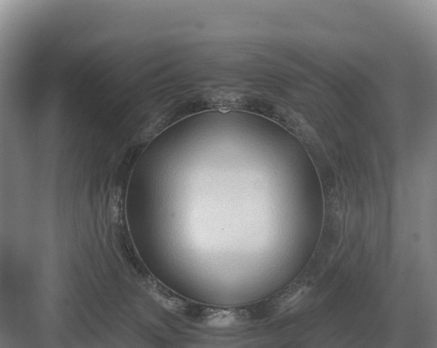 X0000082970083200702152343