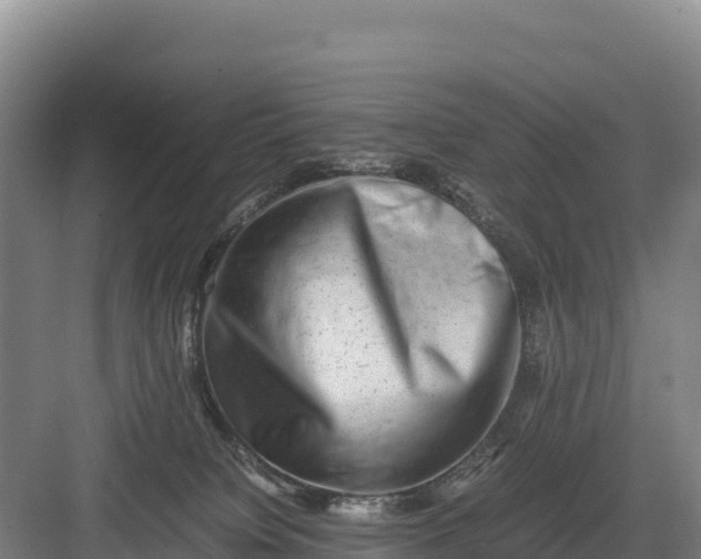 X0000082970084200702152343