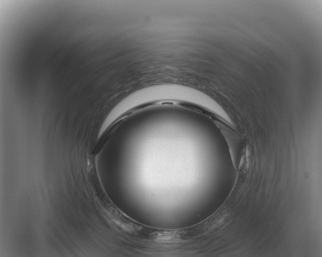 X0000082970088200702152343