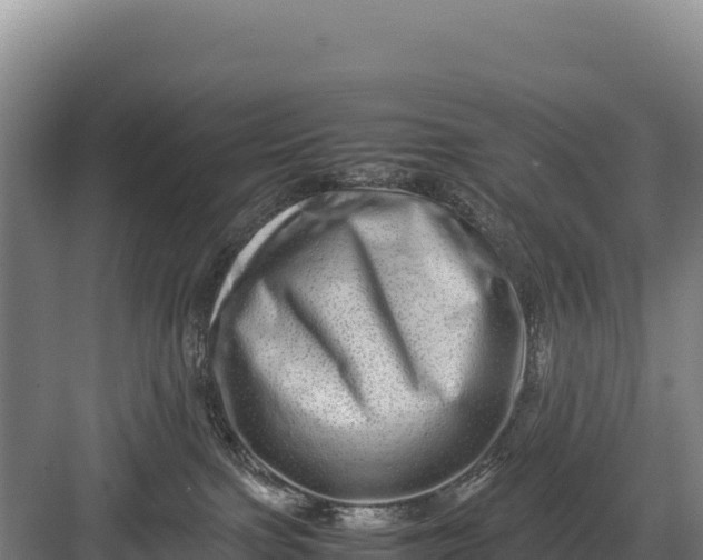 X0000082970091200702152343