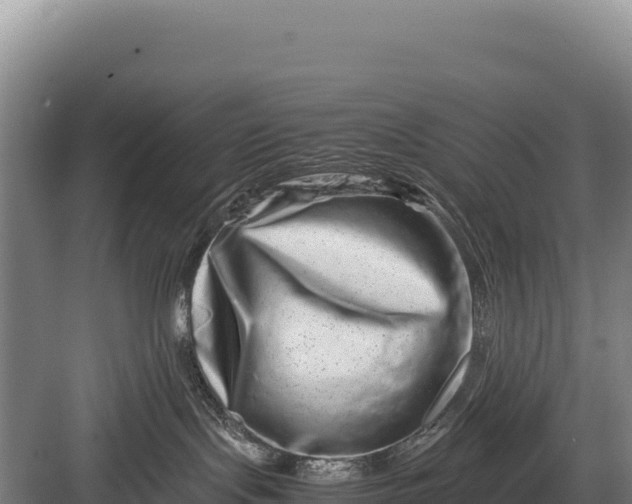 X0000082970095200702152343