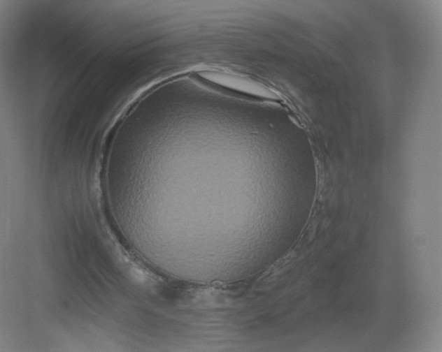 X0000082970098200702152342