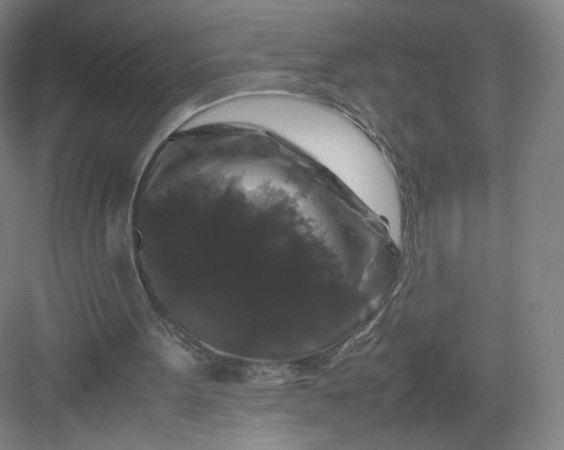 X0000082970099200702152342
