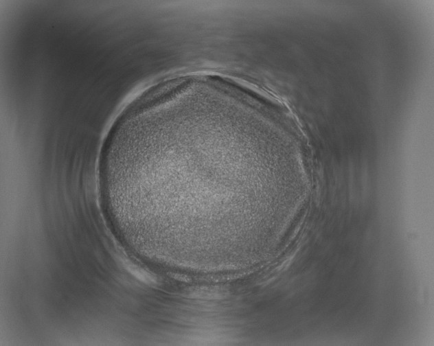 X0000082970102200702152342
