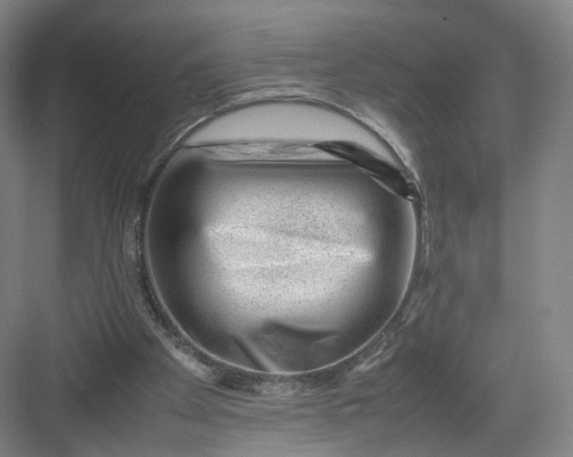 X0000082970105200702152342