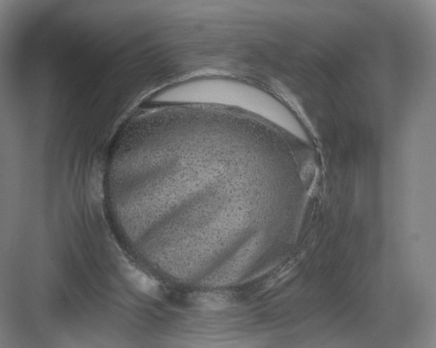 X0000082970106200702152342