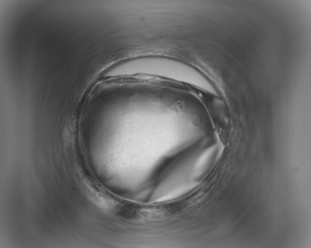 X0000082970107200702152342