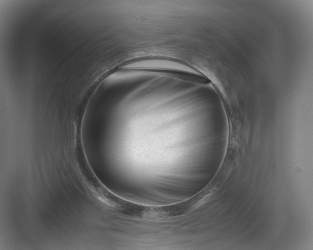 X0000082970109200702152342
