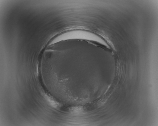 X0000082970110200702152342