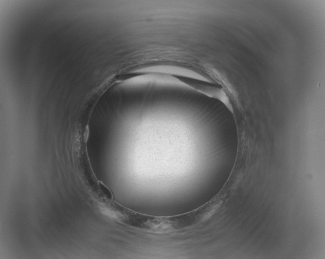 X0000082970113200702152342