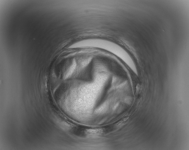 X0000082970115200702152342
