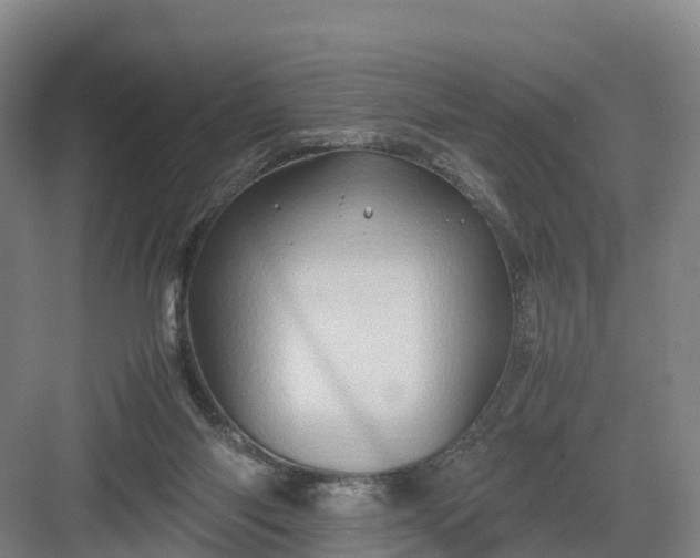 X0000082970118200702152342