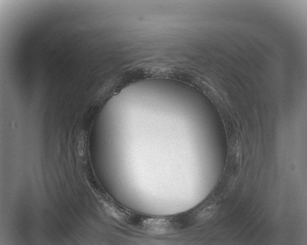 X0000082970133200702152341