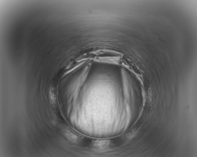 X0000082970135200702152341