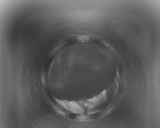 X0000082970139200702152341