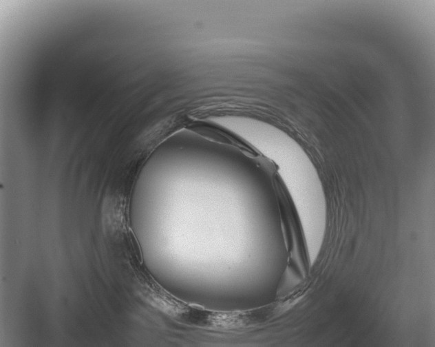 X0000082970141200702152341