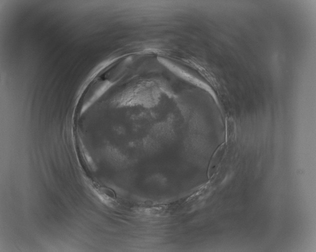 X0000082970147200702152340