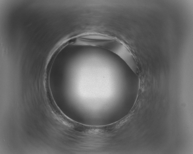 X0000082970152200702152341