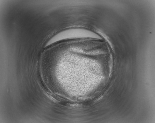 X0000082970153200702152341