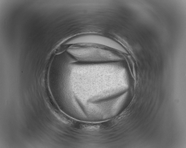 X0000082970155200702152341
