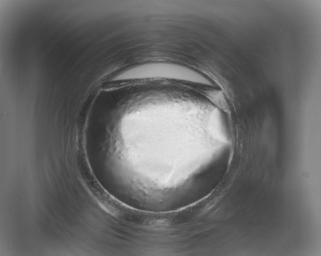 X0000082970157200702152341