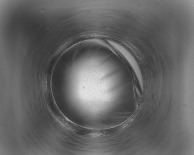 X0000082970158200702152341