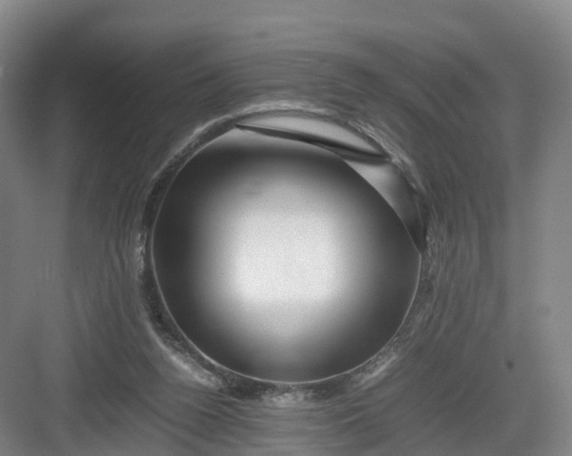 X0000082970160200702152341