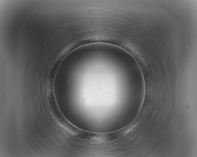 X0000082970164200702152341
