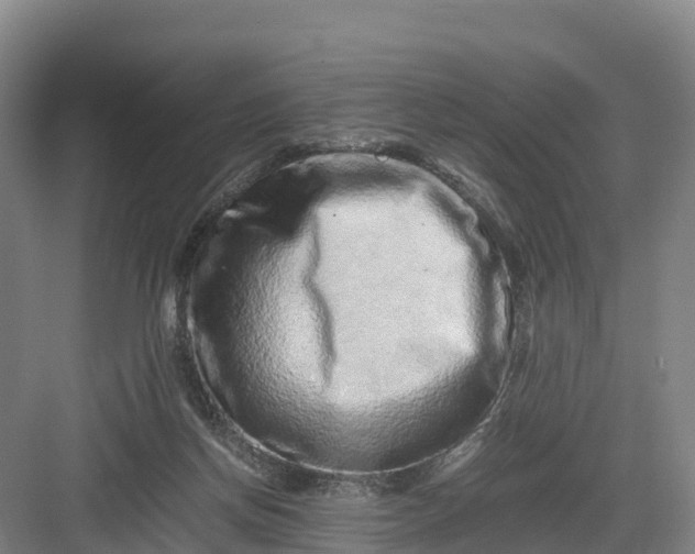X0000082970166200702152341